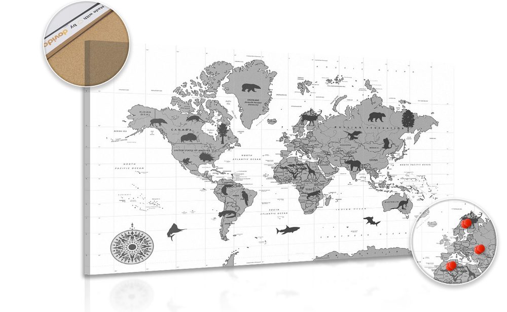 Obraz na korku mapa se zvířaty v černobílém provedení
