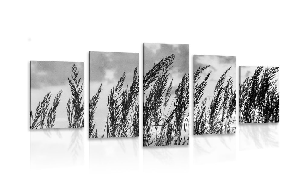 5-dielny obraz tráva v čiernobielom prevedení - 200x100