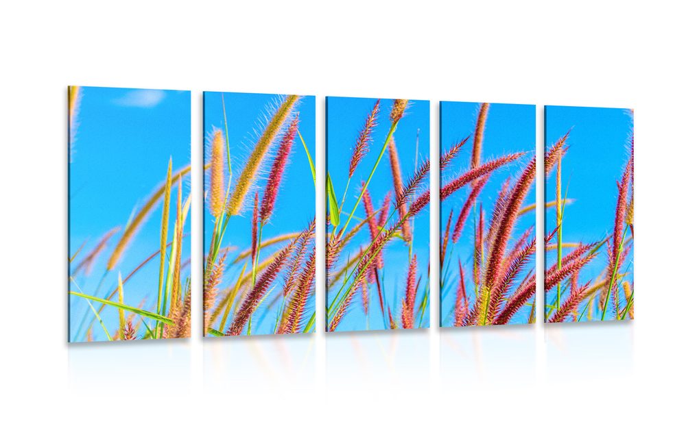 5-dielny obraz divoká tráva pod modrou oblohou