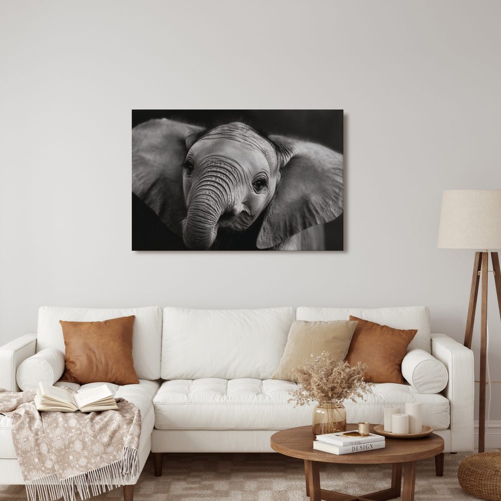 Obraz slonie mláďa v detaile