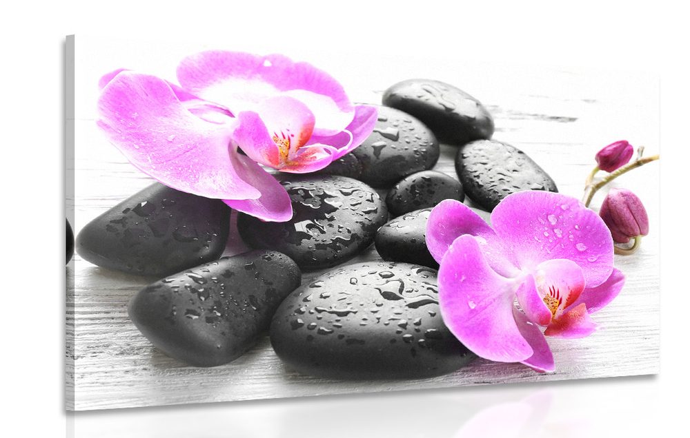 Obraz krásná souhra kamenů a orchideje