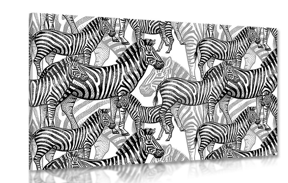 Obraz ríša zebier v čiernobielom - 120x80