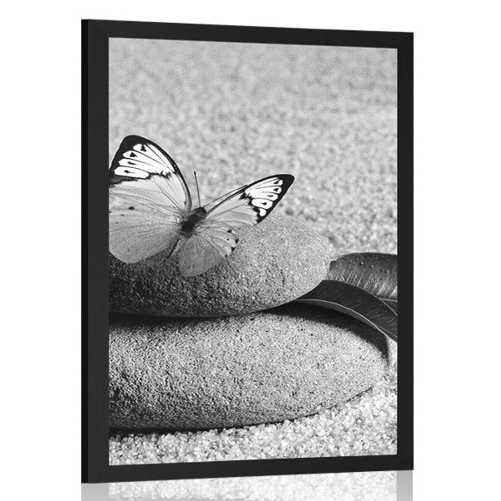 Plakát motýl na Zen kameni v černobílém provedení