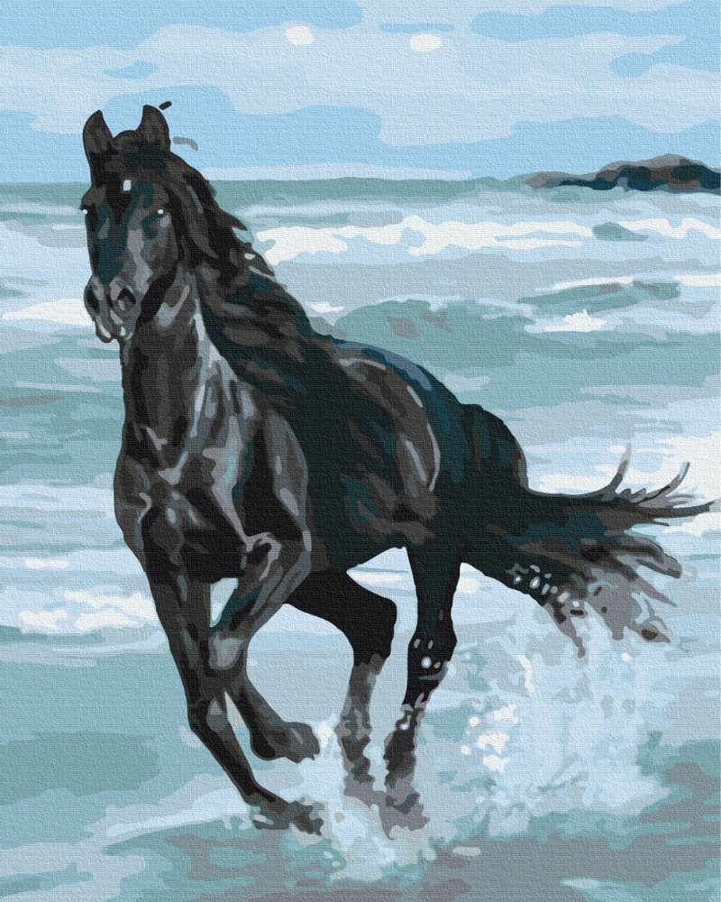 E-shop Maľovanie podľa čísiel čierny kôň na pláži