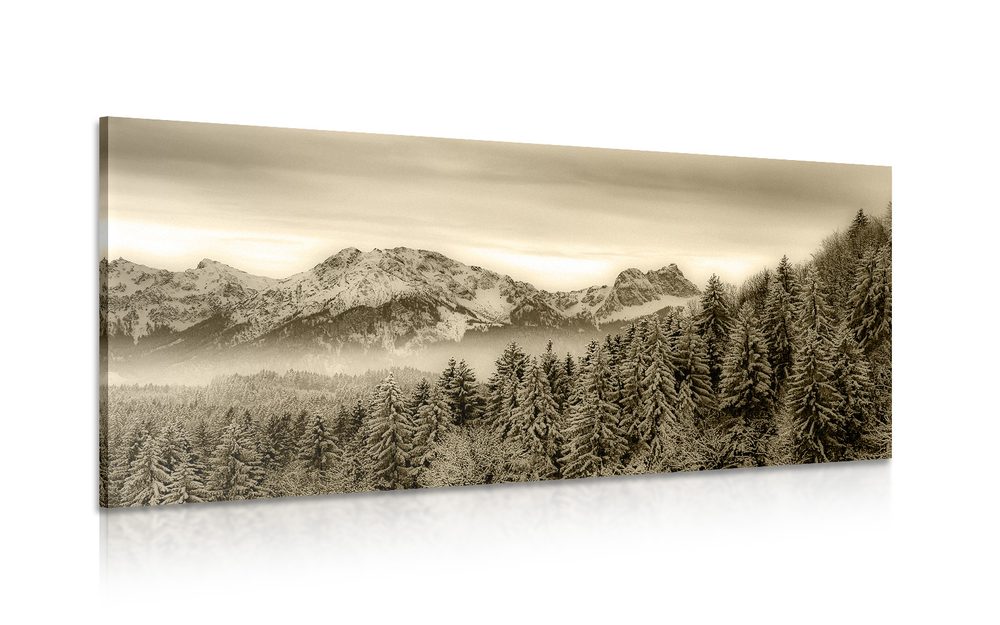 Obraz zamrznuté hory v sépiovom prevedení