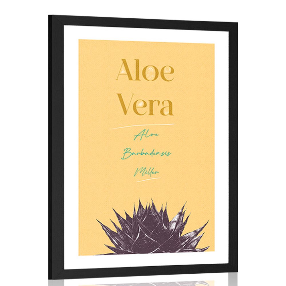 Plakát s paspartou a stylovým nápisem Aloe Vera