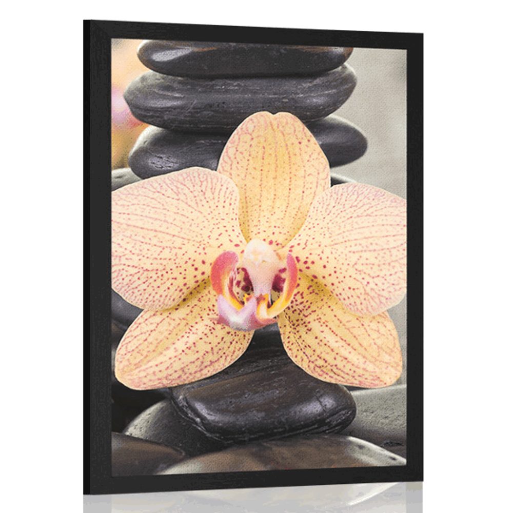 Plagát žltá orchidea a Zen kamene