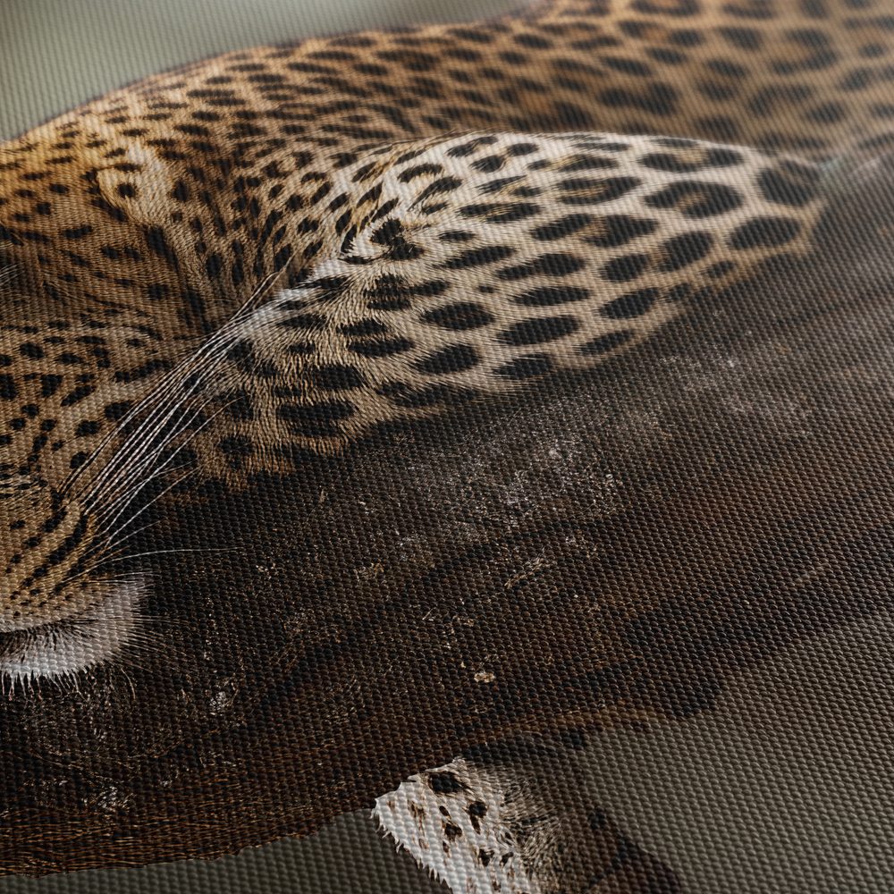 Obraz leopard odpočívajúci na strome