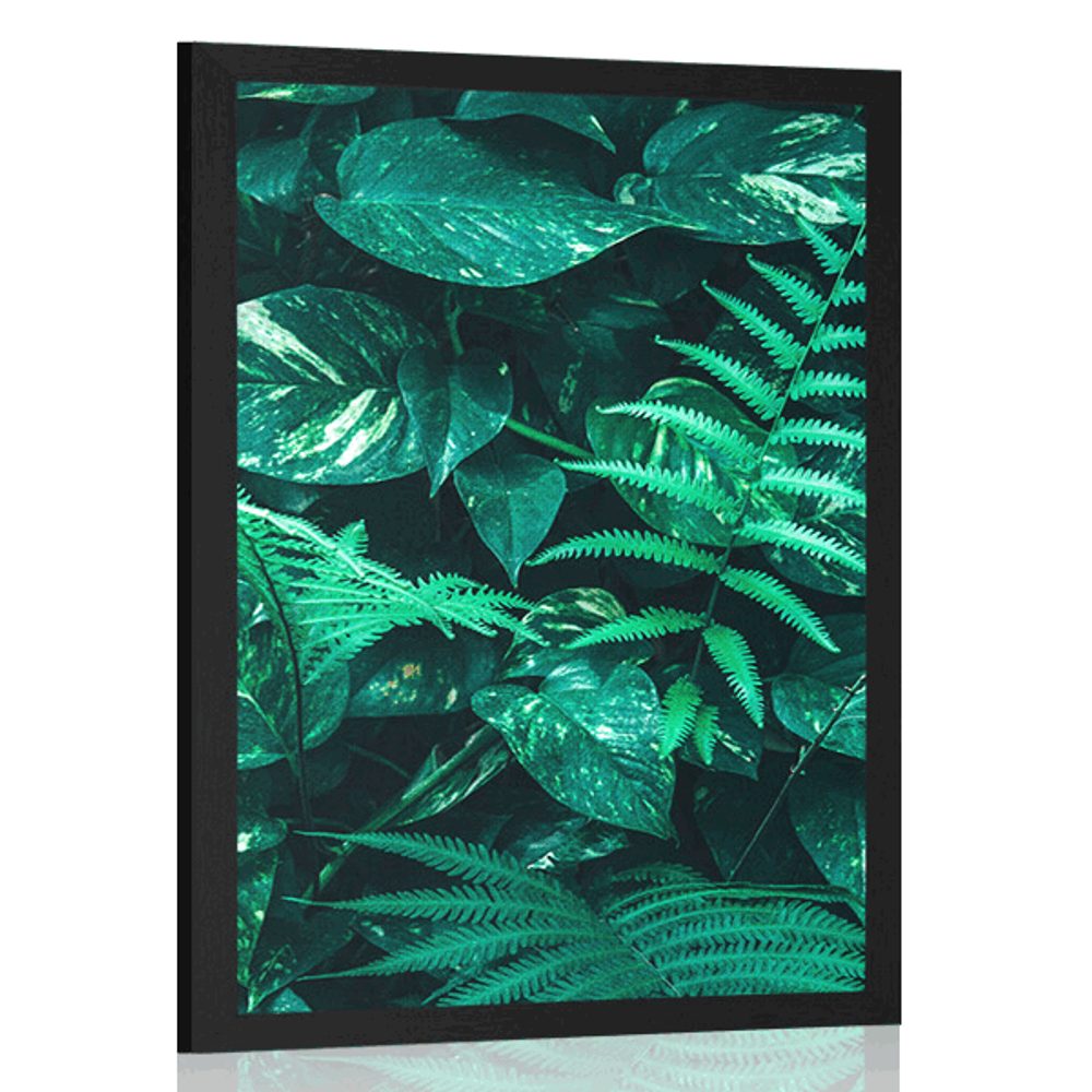 Plakát svěží tropické listy
