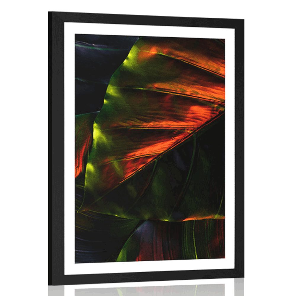 Plakát s paspartou tropické palmové listy