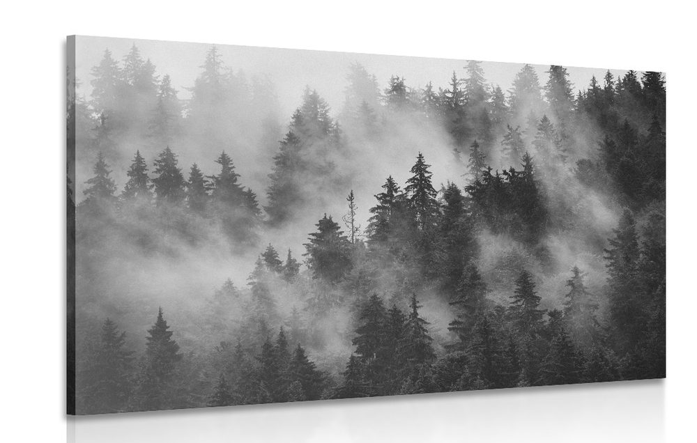 Obraz hory v hmle v čiernobielom prevedení