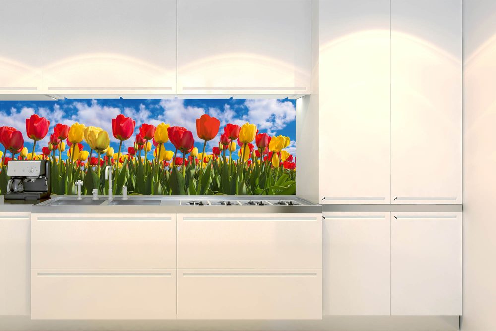 Samolepiaca fototapeta do kuchyne pole plné tulipánov