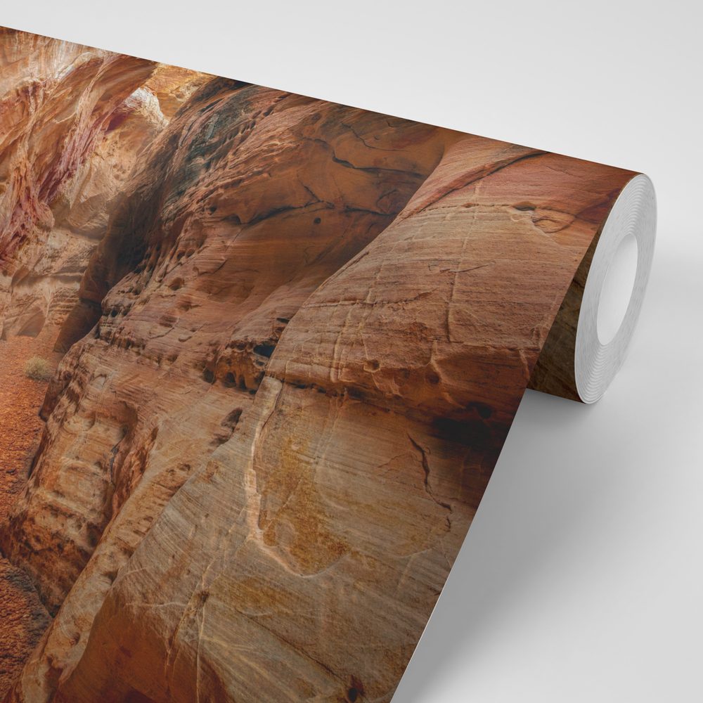 E-shop Fototapeta cestička Grand Canyonom