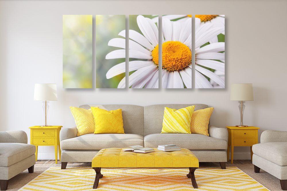 E-shop 5-dielny obraz kvety margarétky