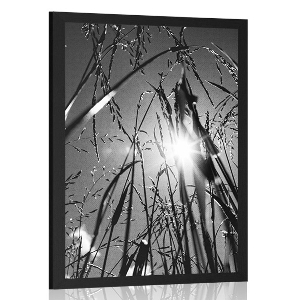 Plakát polní tráva v černobílém provedení