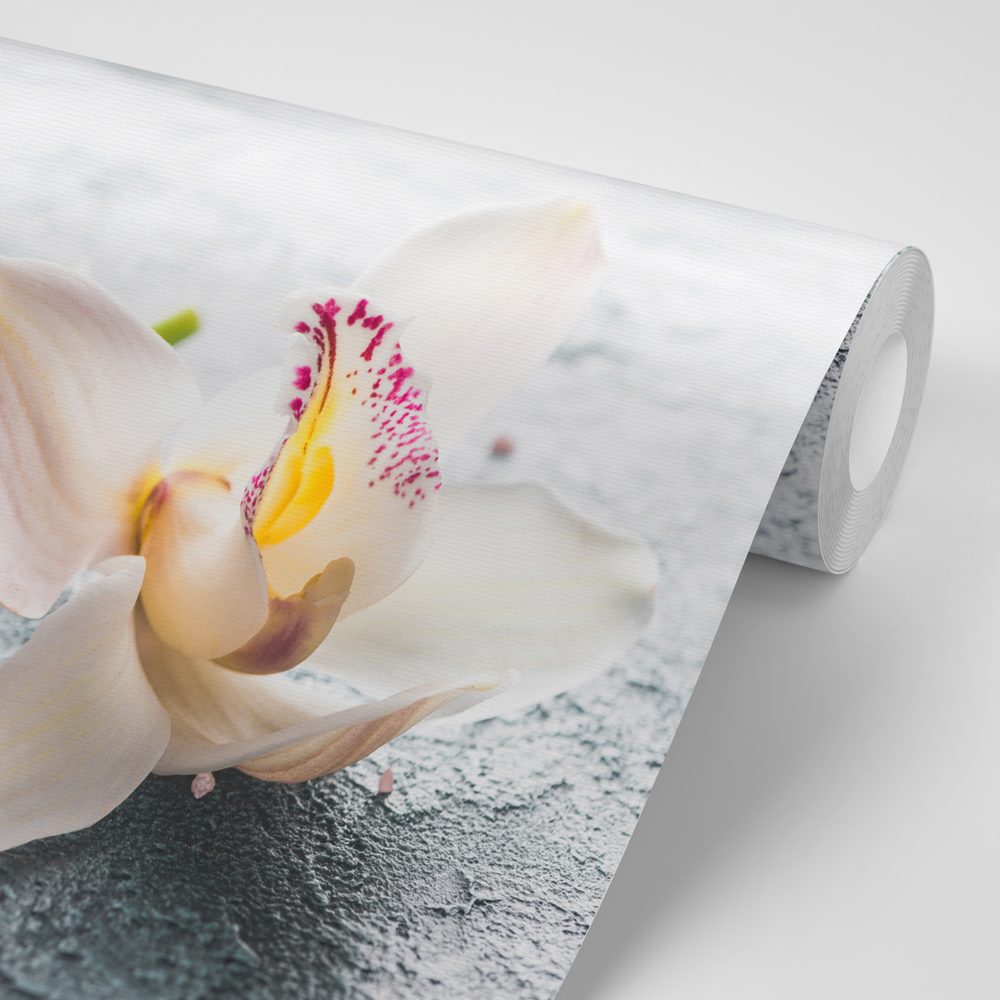 E-shop Fototapeta kvety orchidey