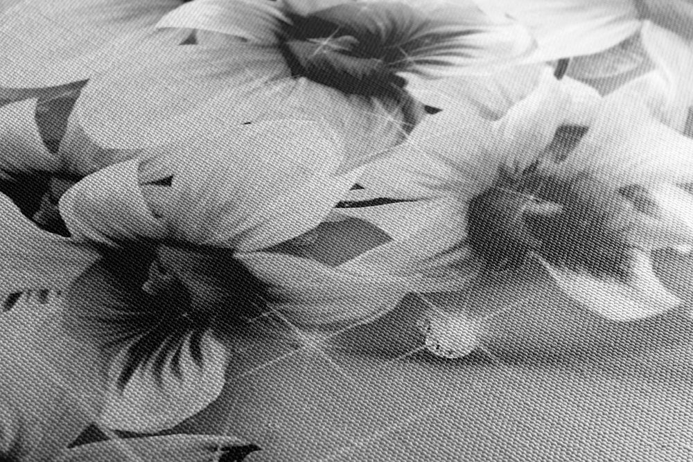 E-shop Obraz čiernobiele kvety na abstraktnom pozadí
