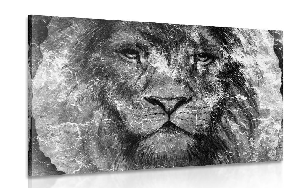 Obraz tvár leva v čiernobielom prevedení