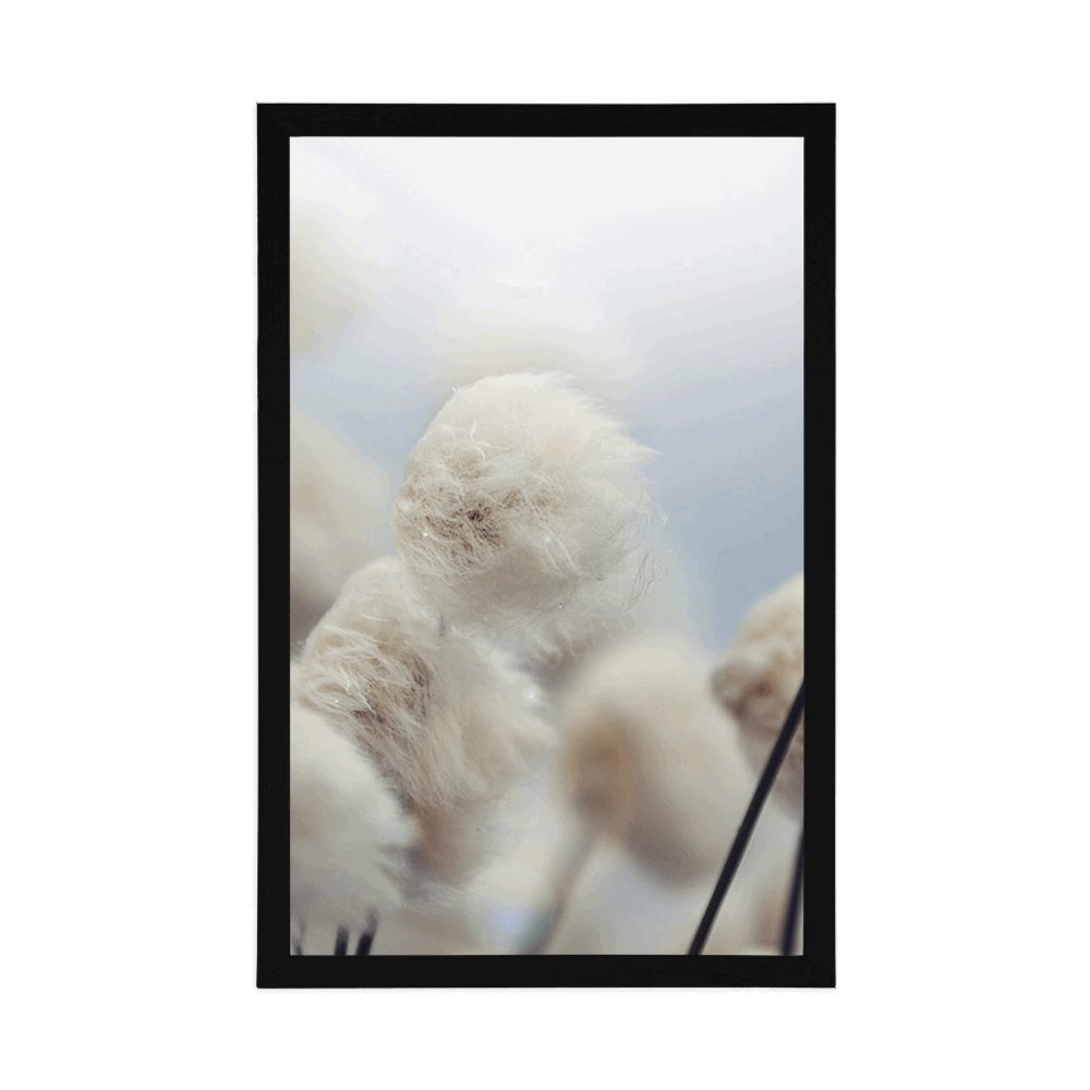 E-shop Plagát arktické kvety bavlny