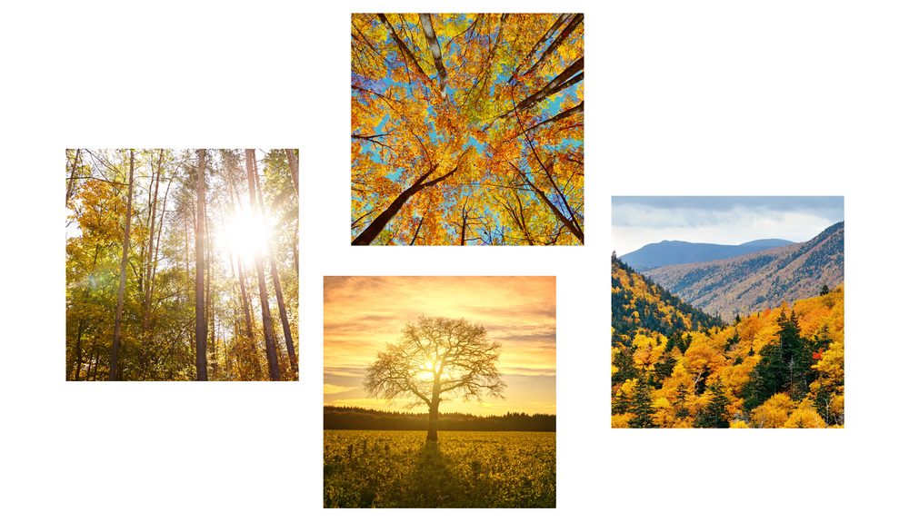 E-shop Set obrazov čaro jesennej krajiny