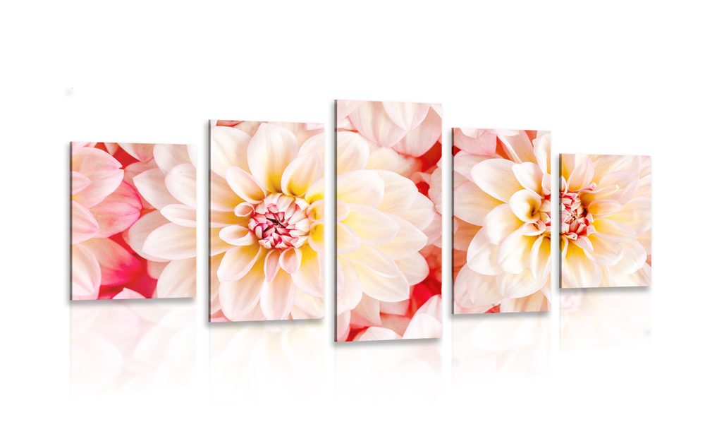 5-dílný obraz pastelové květy jiřiny