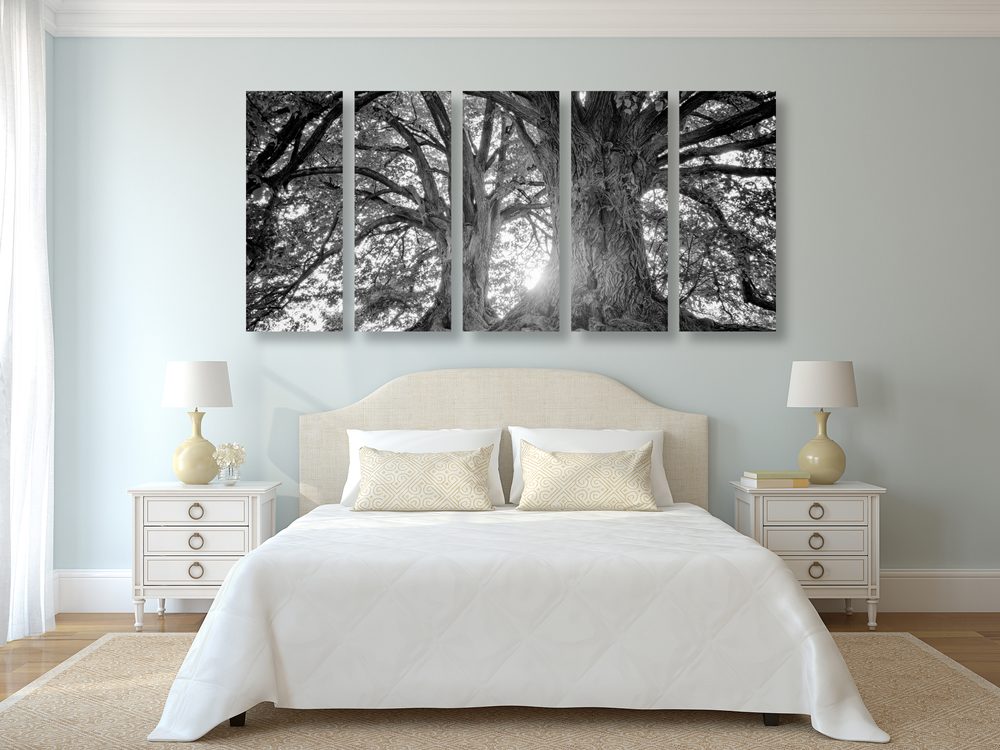 E-shop 5-dielny obraz čiernobiele majestátne stromy