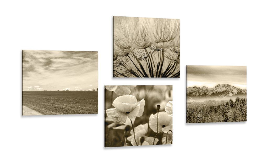 Set obrazů sépiová krajina s květinami