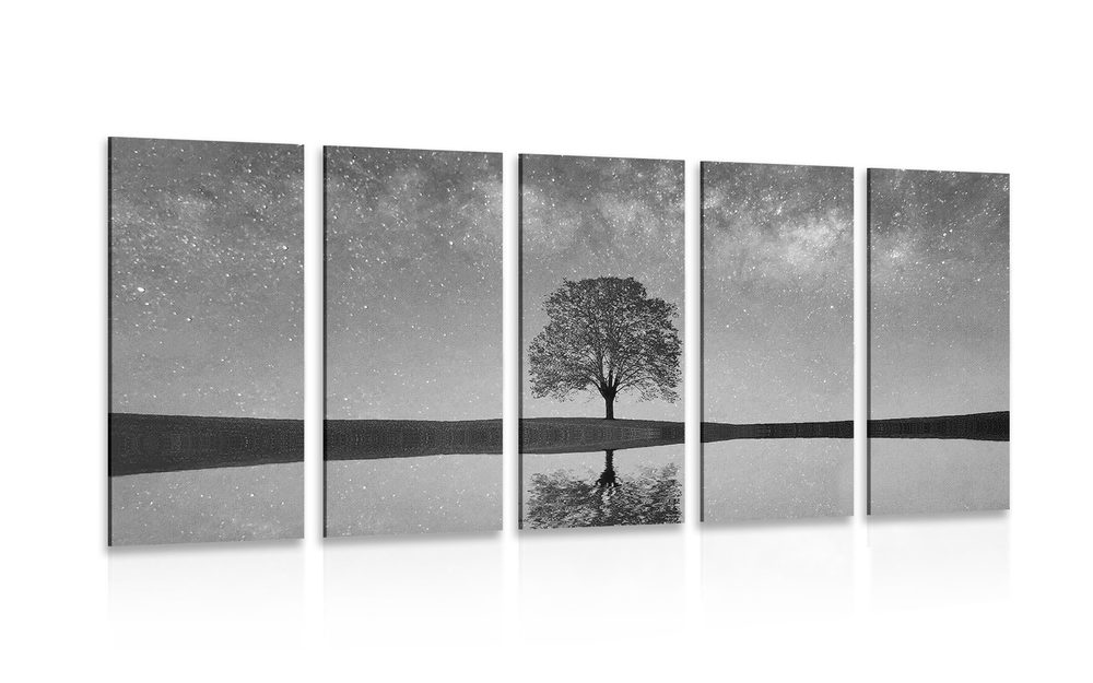 5-dílný obraz hvězdná obloha nad osamělým stromem v černobílém provedení