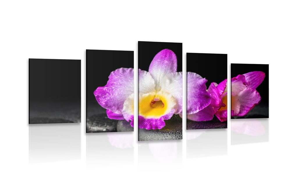 5-dielny obraz fialová orchidea na Zen kameňoch - 200x100