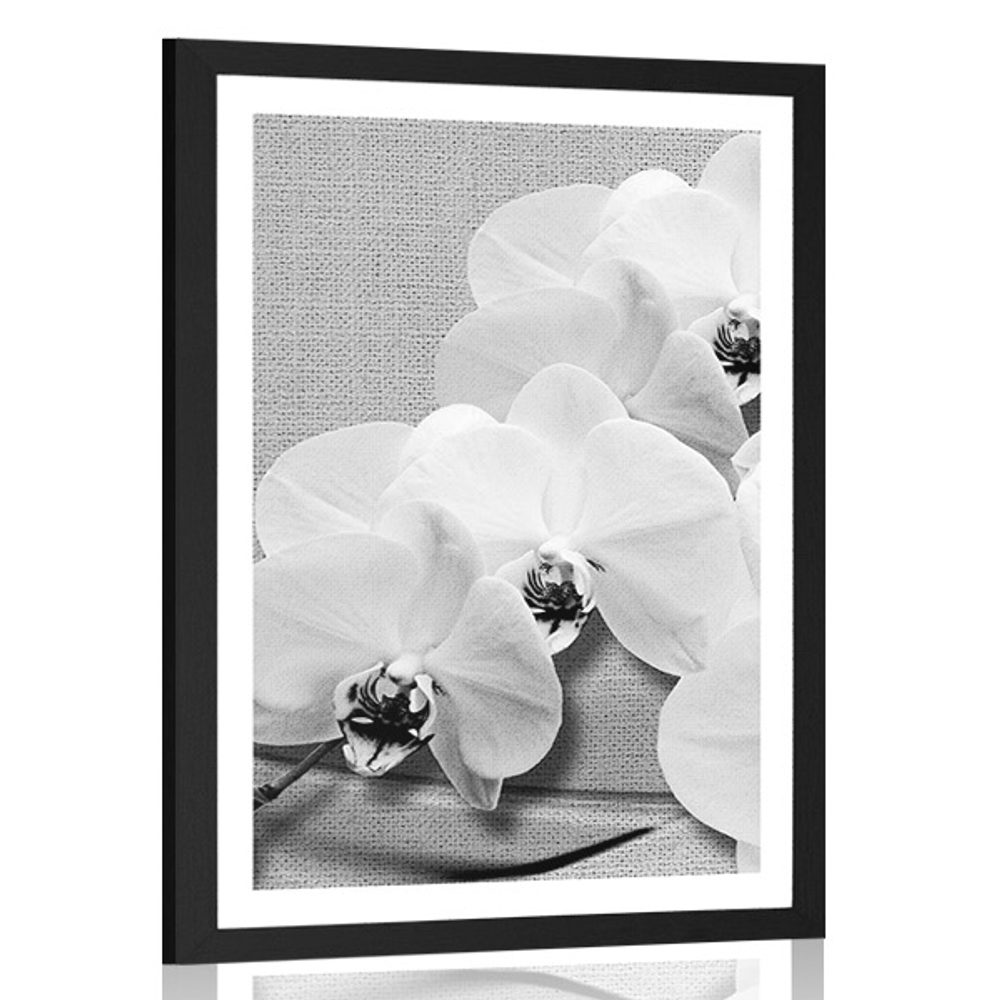 Plakát s paspartou orchidej na plátně v černobílém provedení