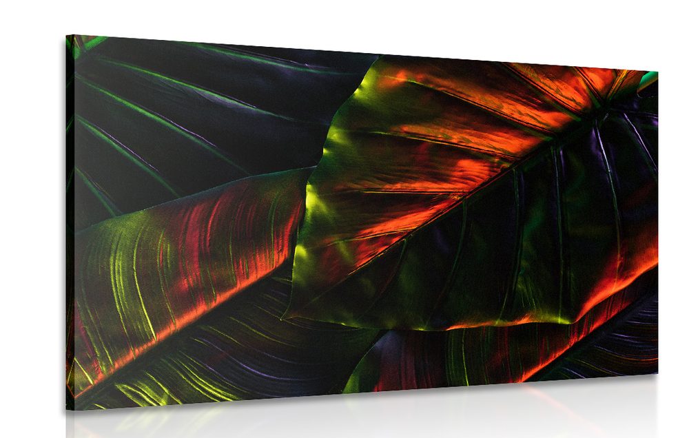Obraz tropické palmové listy - 60x40