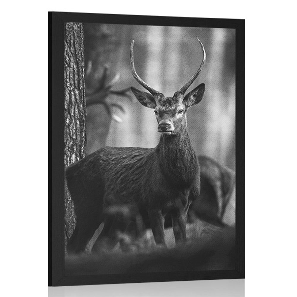 Plakát jelen v lese v černobílém provedení