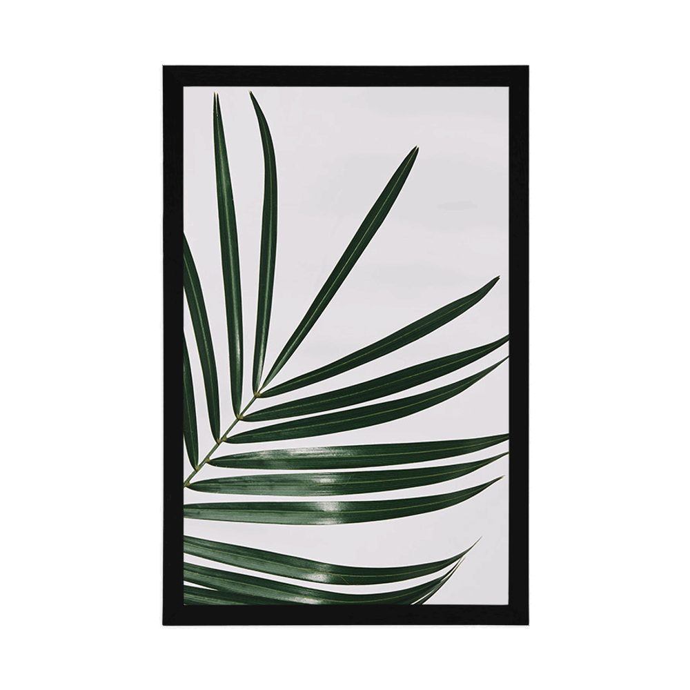 E-shop Plagát nádherný palmový list