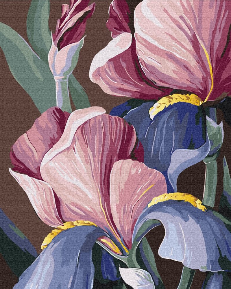 E-shop Maľovanie podľa čísiel elegantné kvety