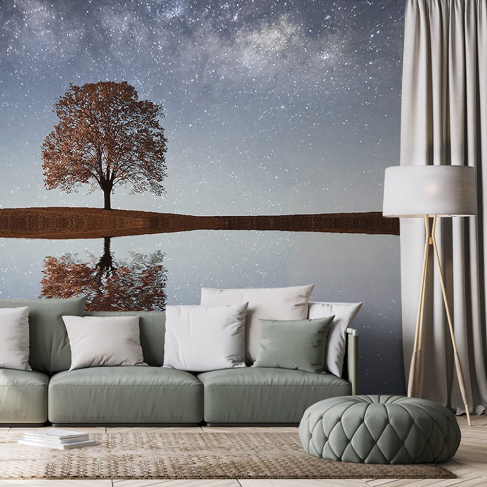 Fototapeta hviezdna obloha nad osamelým stromom