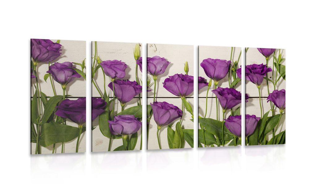 5-dílný obraz nádherné fialové květy