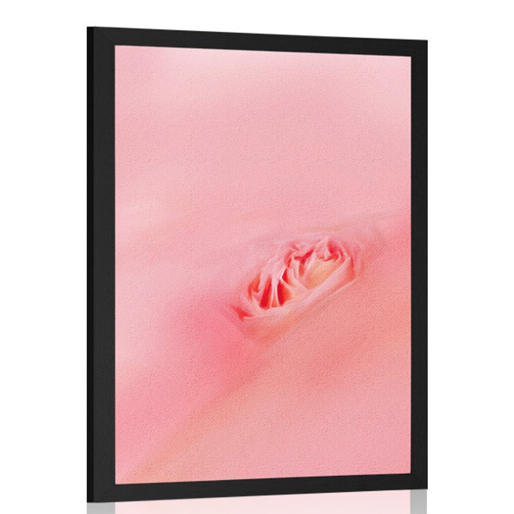 Plakát v objetí růžové