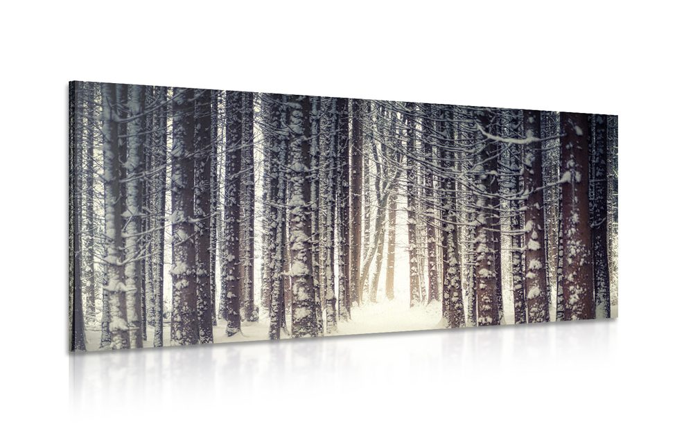 Obraz les zahalený snehom - 100x50