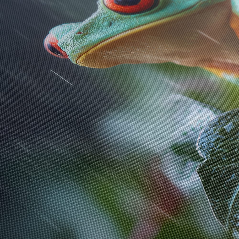 Obraz farebná žaba v tropickom daždi