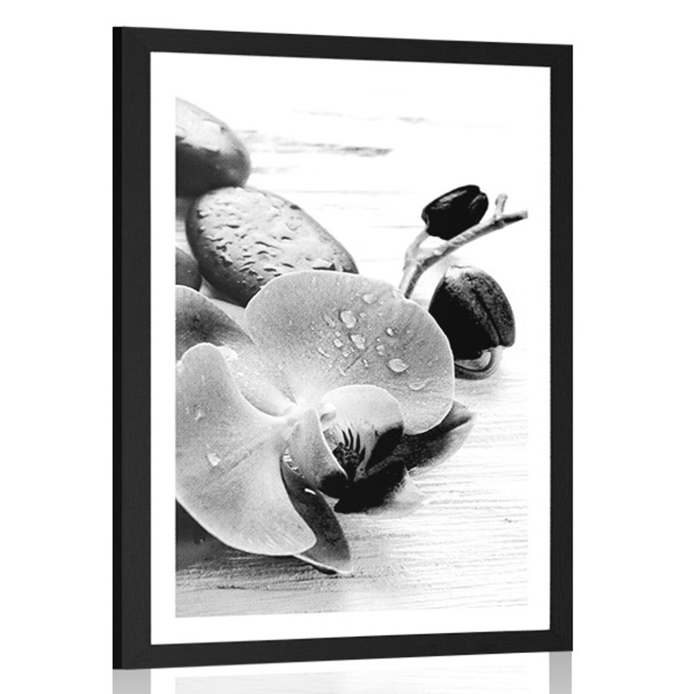 Plakát s paspartou kouzelná souhra kamenů a orchideje v černobílém provedení