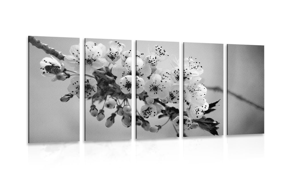 5-dielny obraz kvitnúci konárik čerešne v čiernobielom prevedení