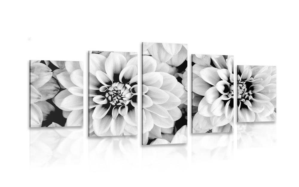 5-dílný obraz květiny jiřiny v černobílém provedení