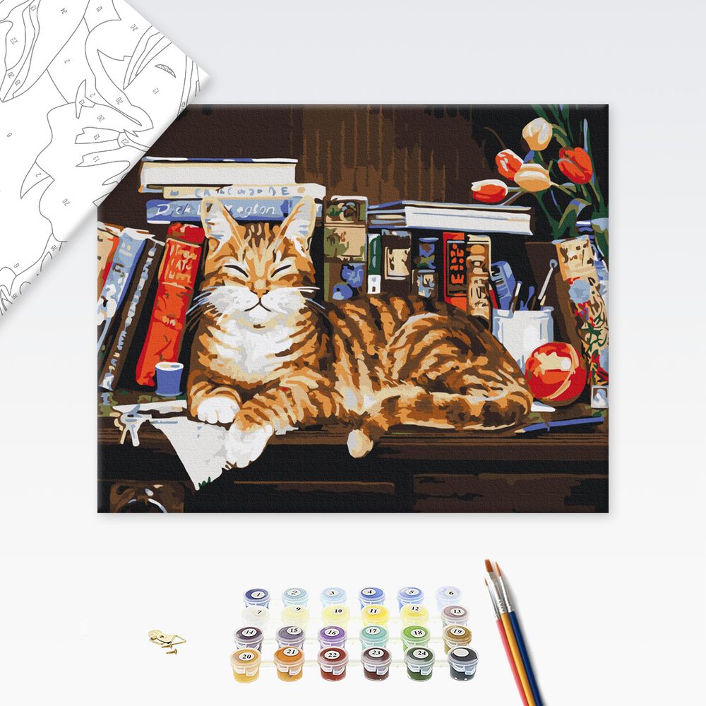 Malování podle čísel kočka knihomolka