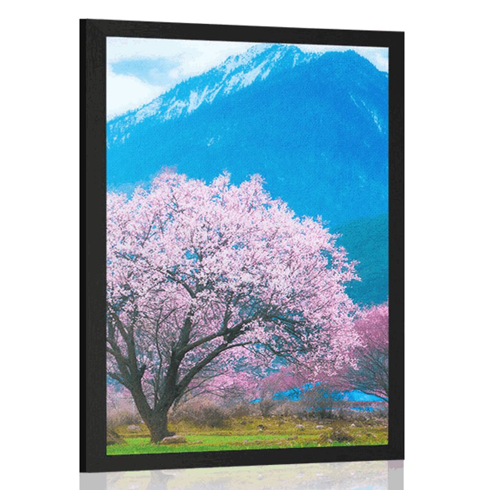 Plakát kouzelný japonský strom