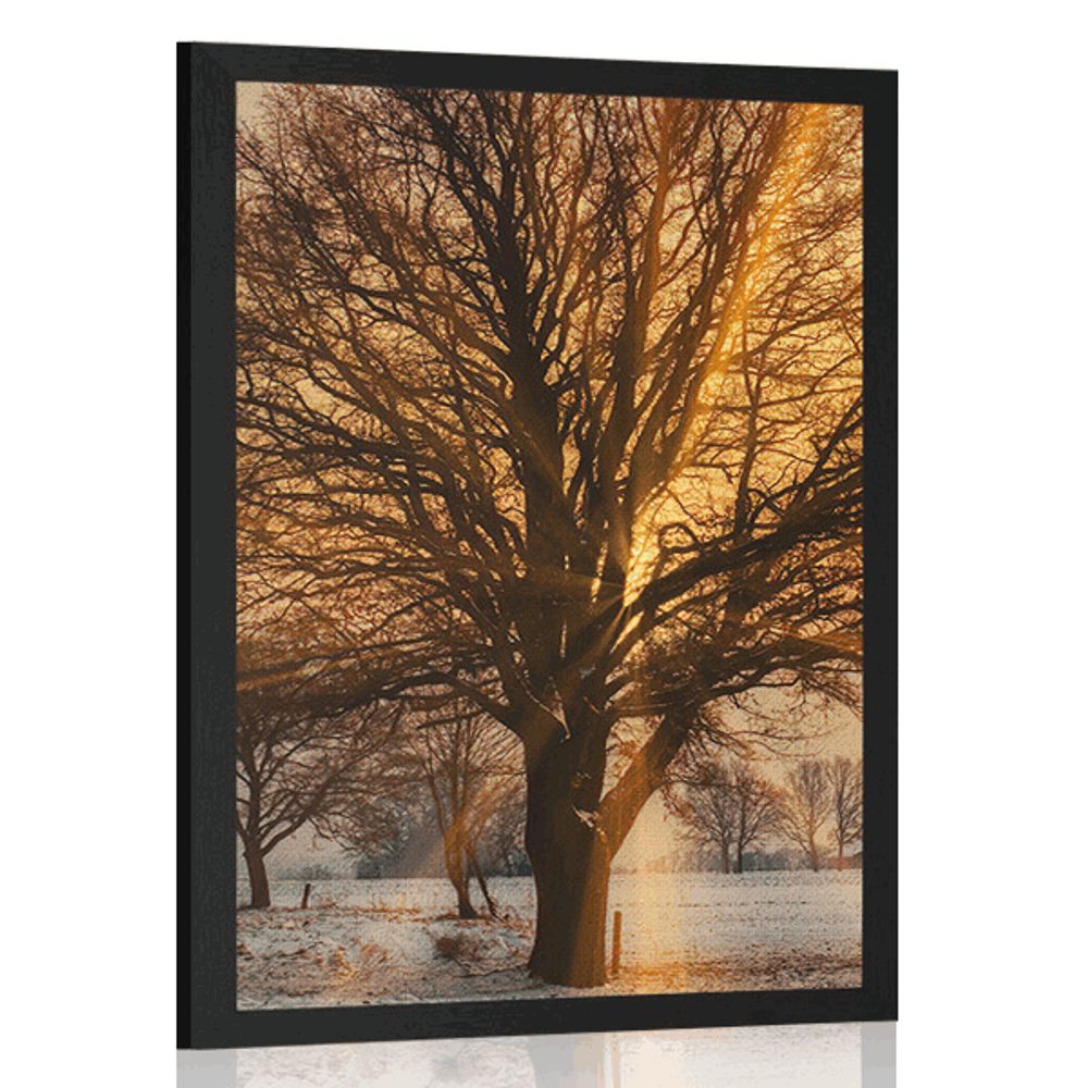 Plakát strom v zasněžené krajině