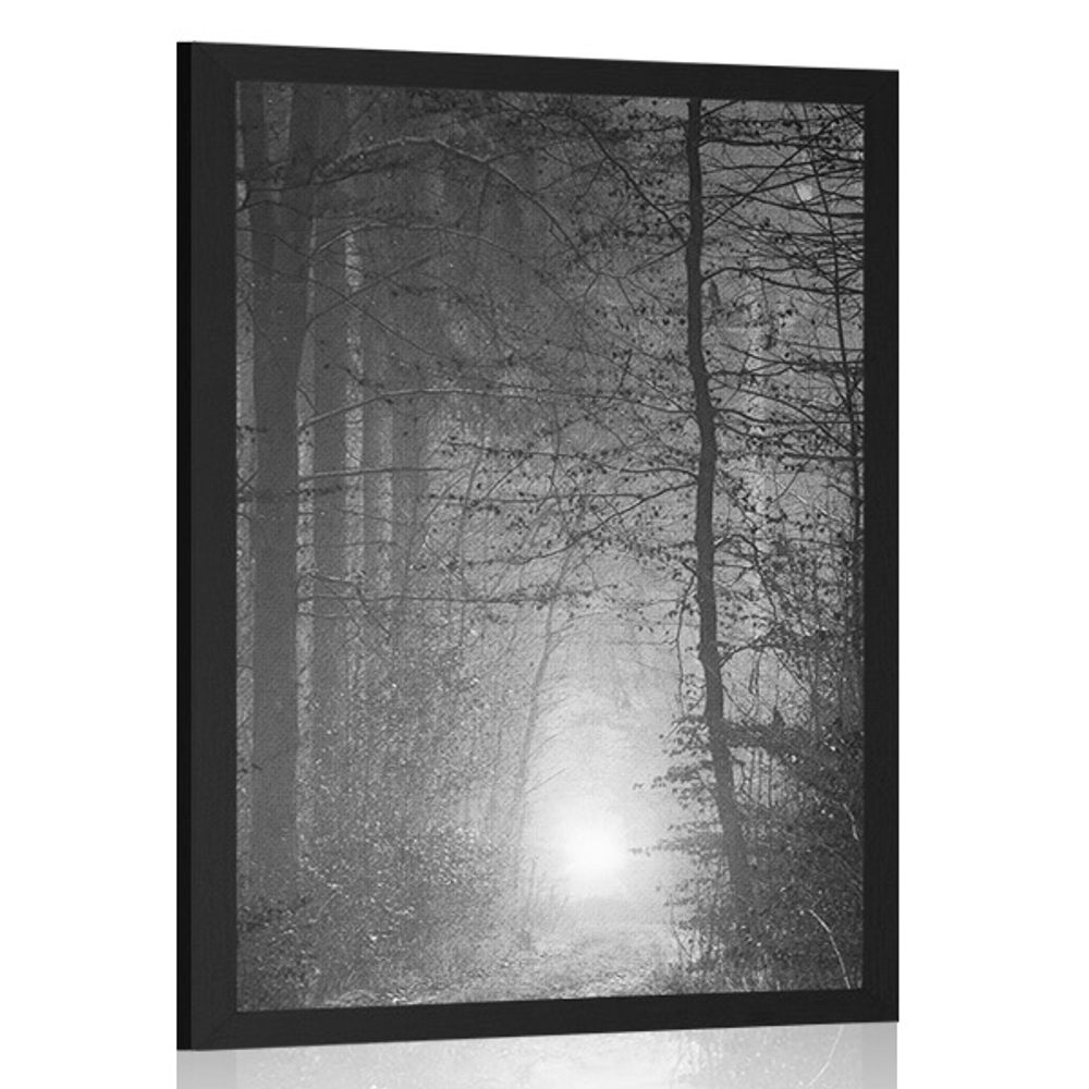 Plagát svetlo v lese v čiernobielom prevedení - 30x45 white