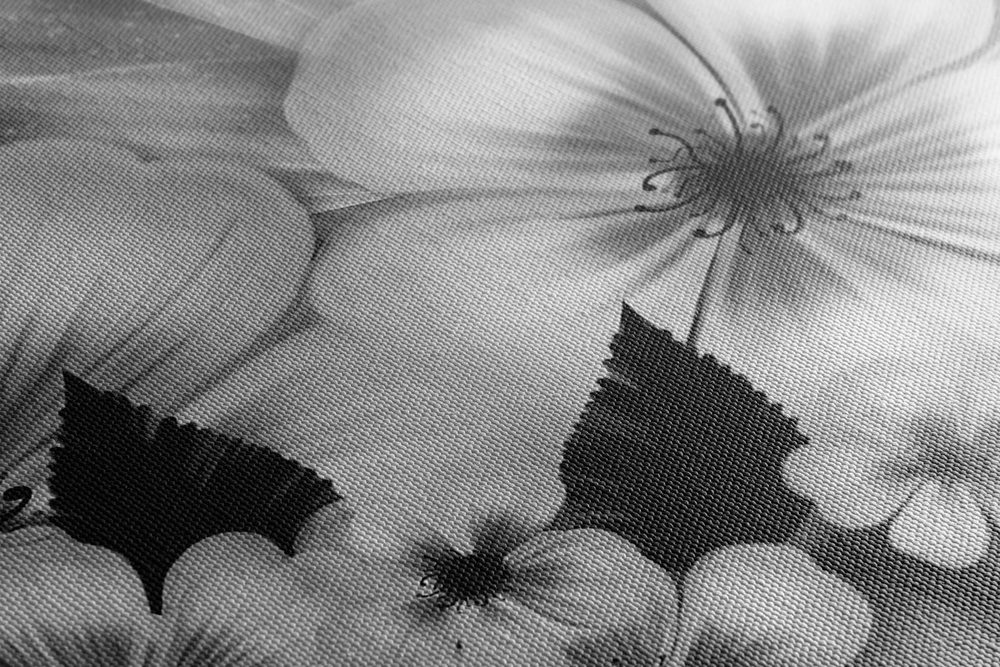 E-shop Obraz fantázia kvetov v čiernobielom prevedení