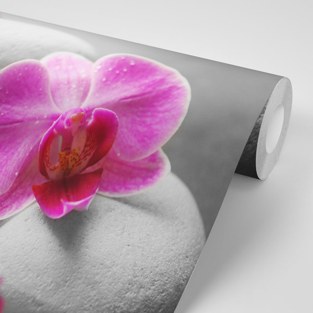 E-shop Fototapeta kvety orchidey na kameňoch