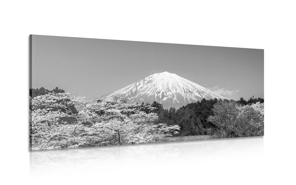 Obraz hora Fuji v černobílém provedení