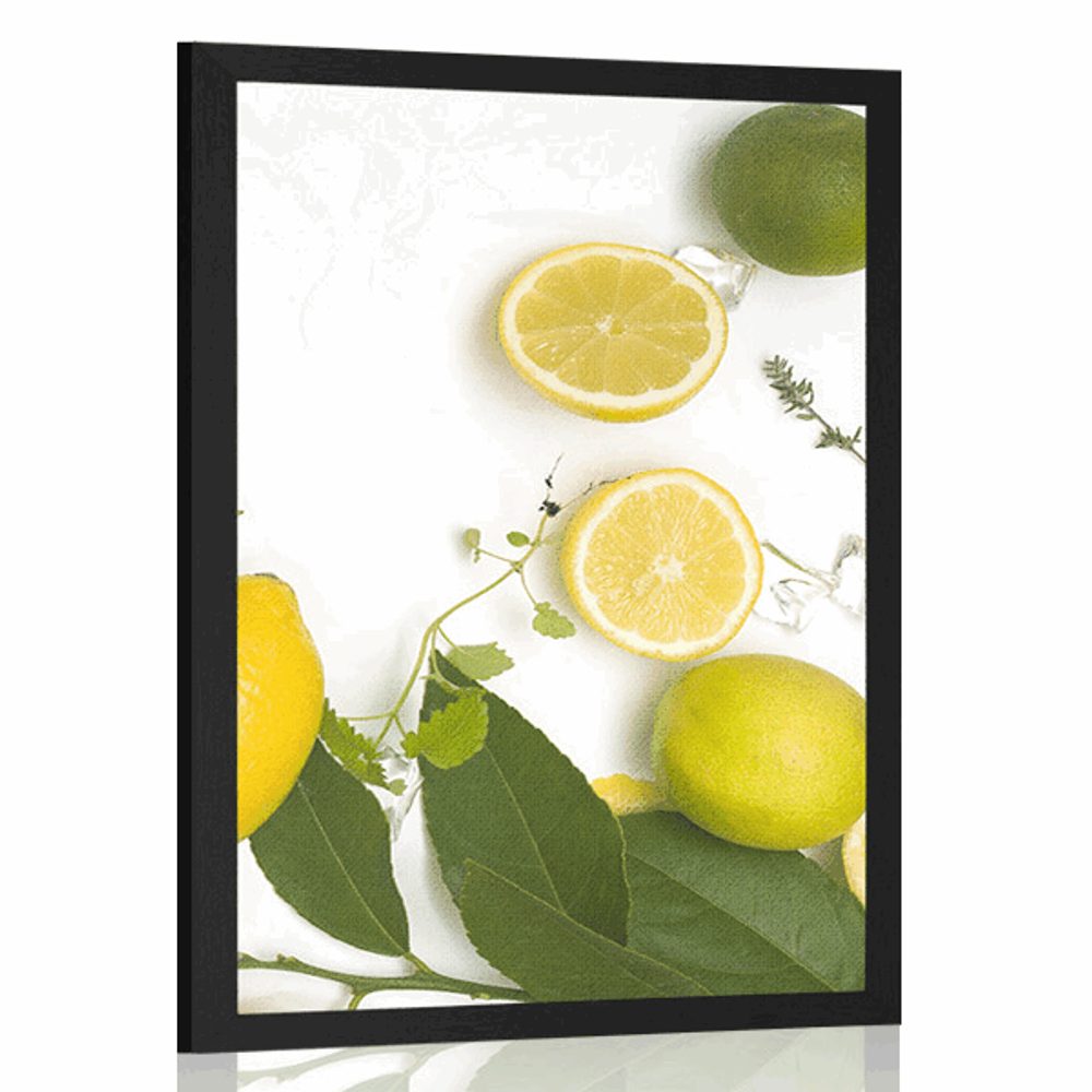 Plakát mix citrusových plodů